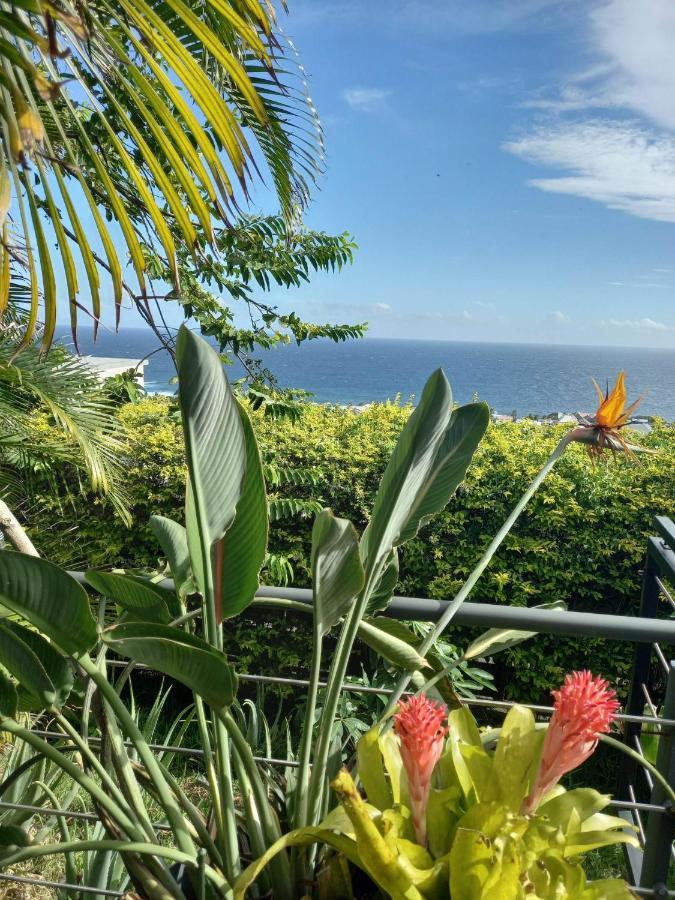 Suite Indigo Jacuzzi Prive Piscine Vue Mer Acces Cuisine Laverie サン・ピエール エクステリア 写真