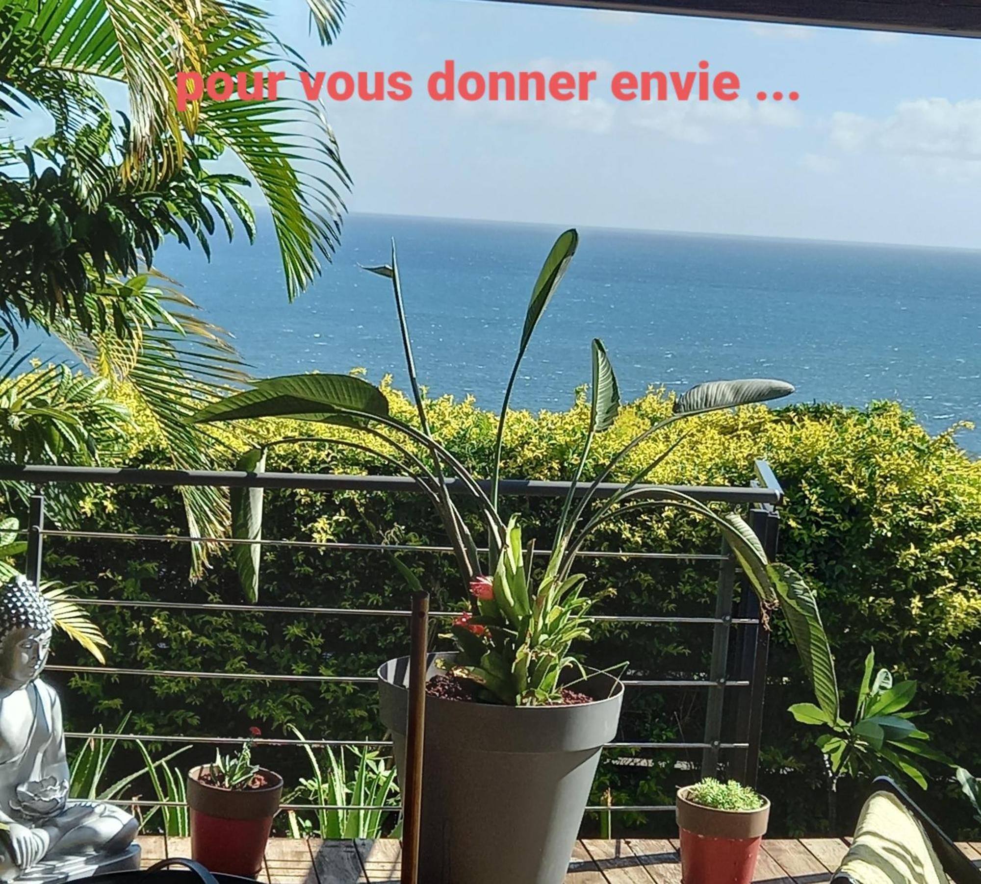Suite Indigo Jacuzzi Prive Piscine Vue Mer Acces Cuisine Laverie サン・ピエール エクステリア 写真