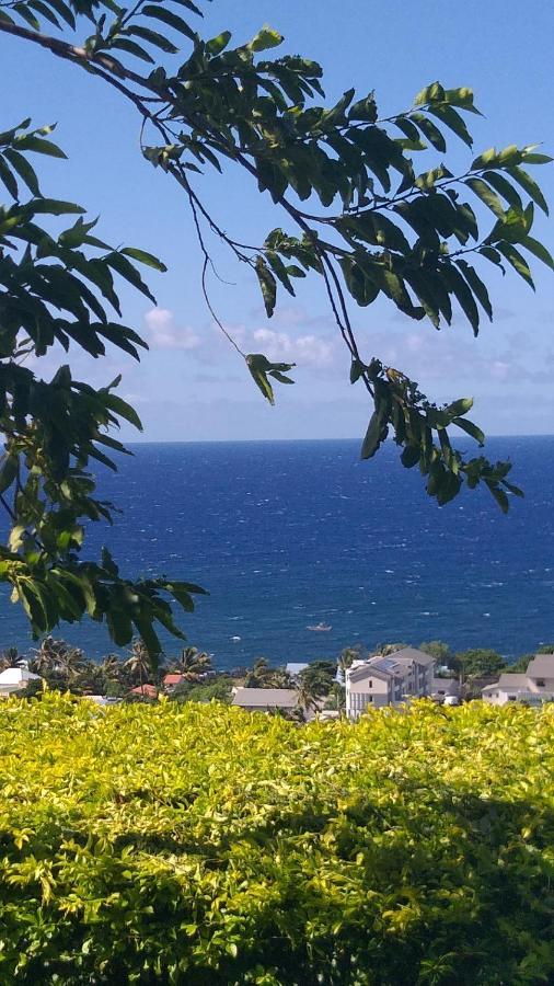 Suite Indigo Jacuzzi Prive Piscine Vue Mer Acces Cuisine Laverie サン・ピエール エクステリア 写真